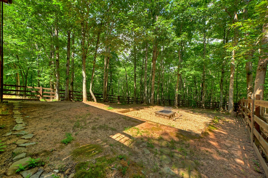 21 Trails End Lane Morganton, GA 30560 - Photo 4 of 32