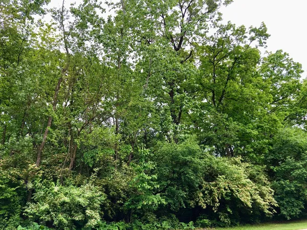 $57,900 | 910 Echo (lot 6) Trail, Marengo, IL 60152