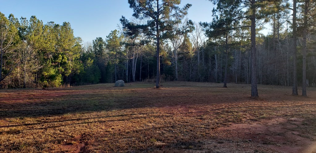 873 Skippers Lodge Road Cross Hill, SC 29332 - Photo 7 of 10 Gallery Image 7