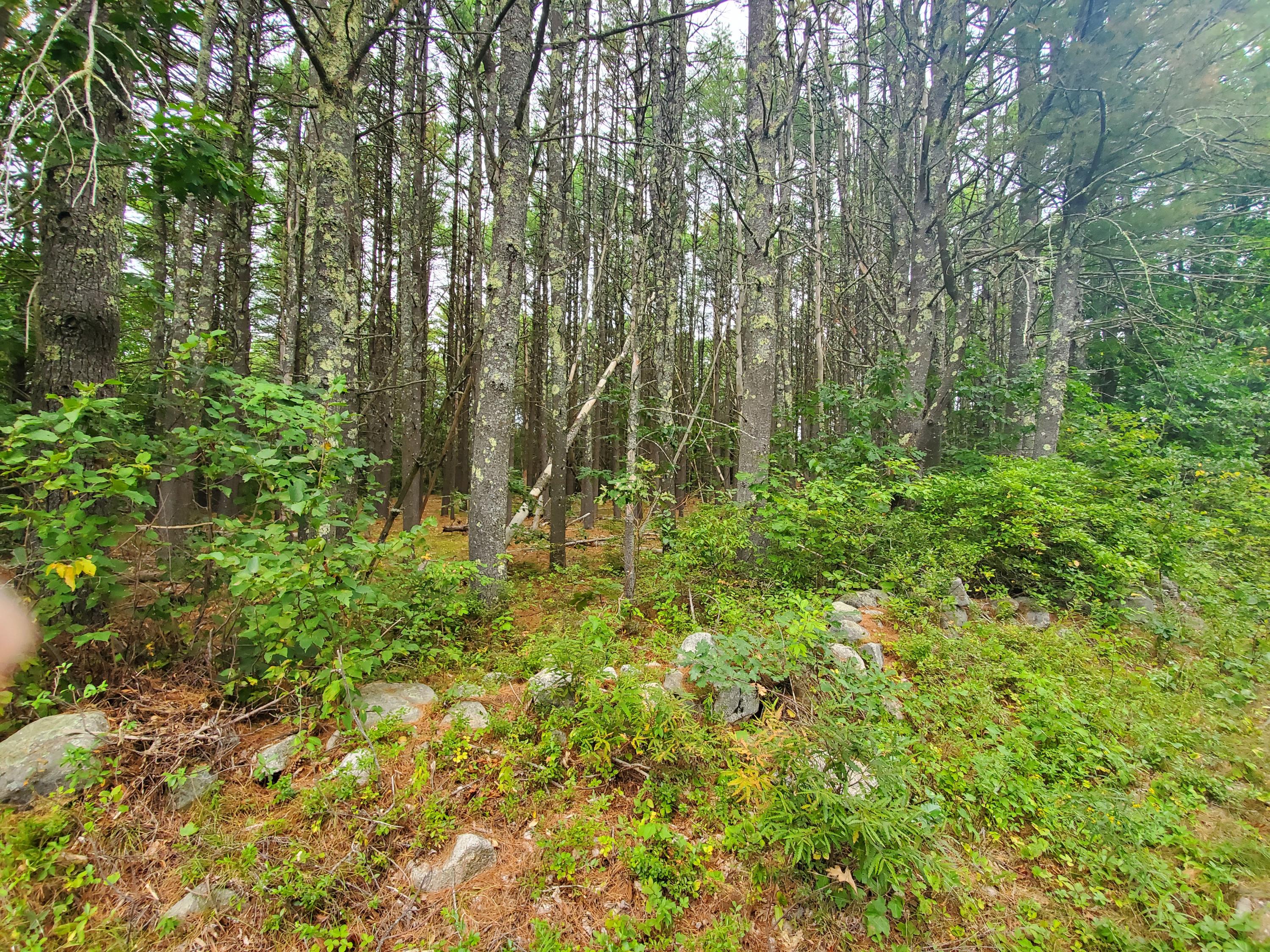 Tbd Blueberry Hill Road Alfred, ME 04002 - Photo 7 of 11 5