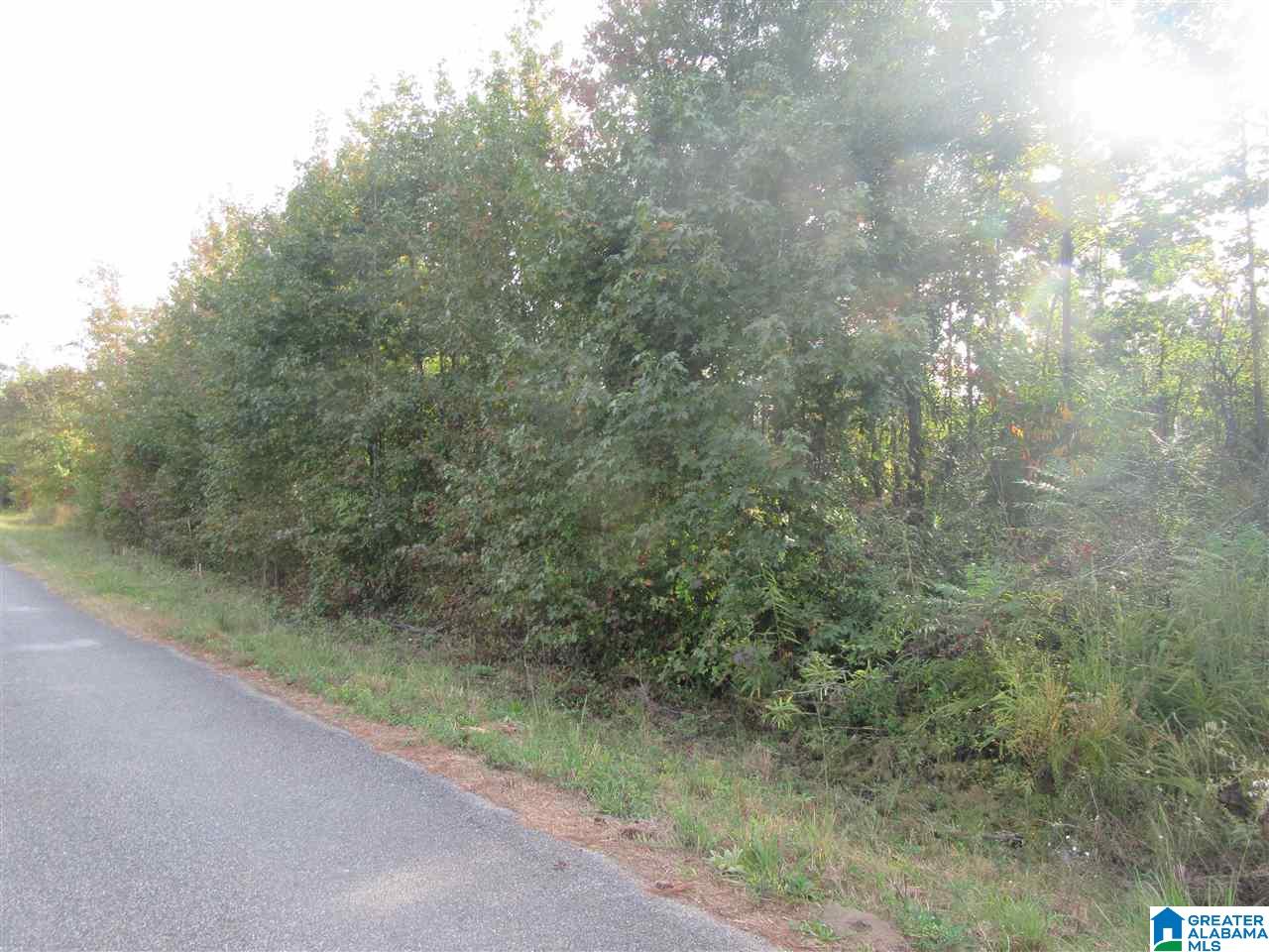 0 Paul Bear Bryant Road Alpine, AL 35014 - Photo 1 of 8