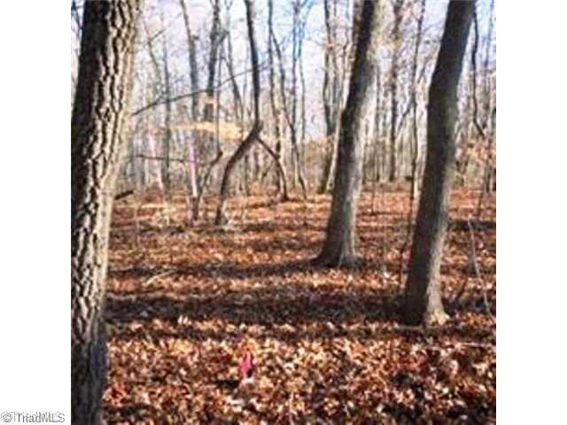 2 Wagner Road Mocksville, NC 27028 - Photo 2 of 9 Land.