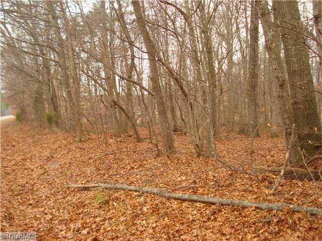 2 Wagner Road Mocksville, NC 27028 - Photo 5 of 9 Land.
