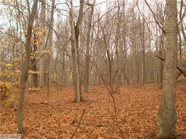 2 Wagner Road Mocksville, NC 27028 - Photo 9 of 9 Land.