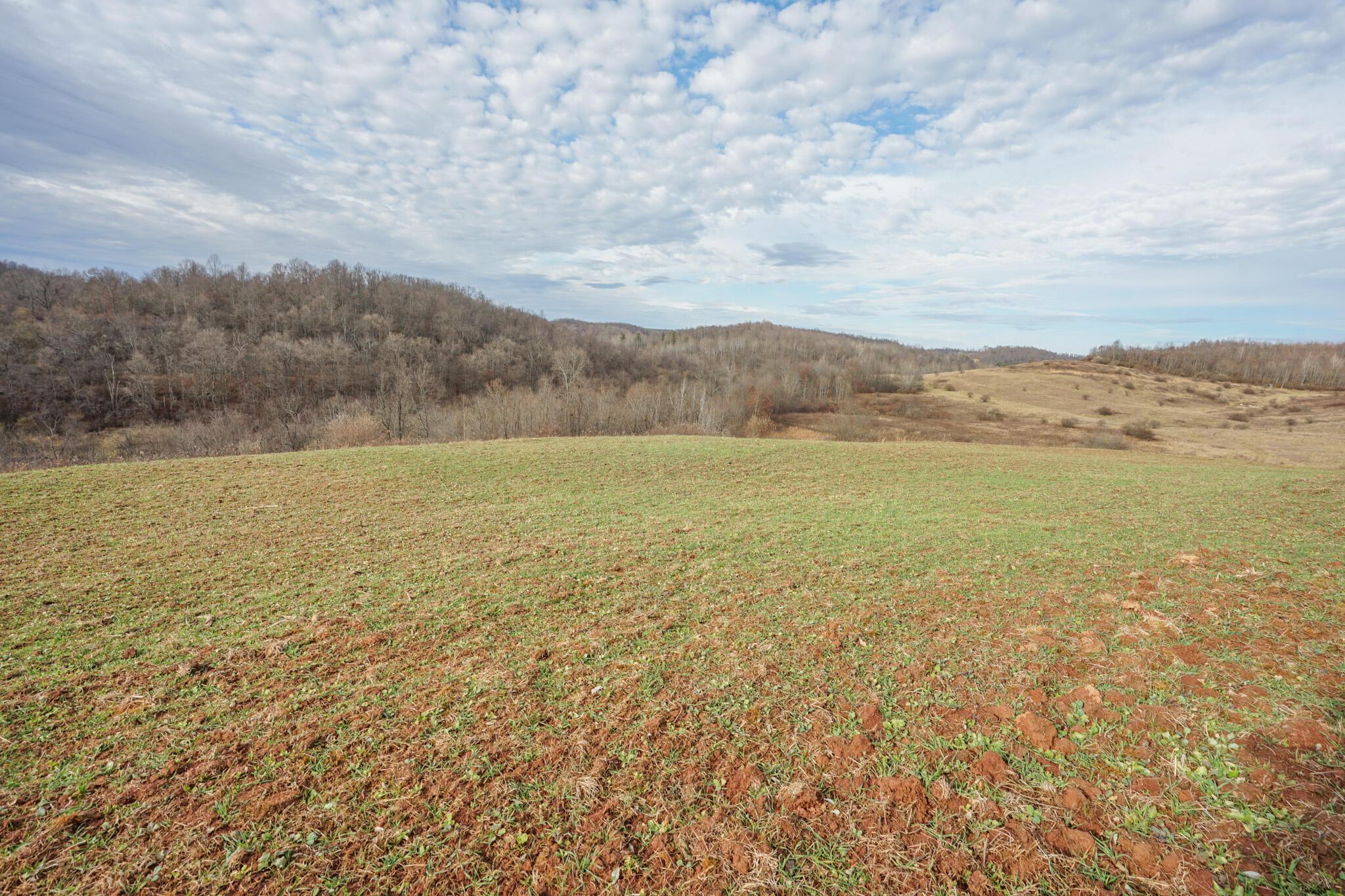 0 Fogle Road Caldwell, OH 43724 - Photo 38 of 42 DSC09925