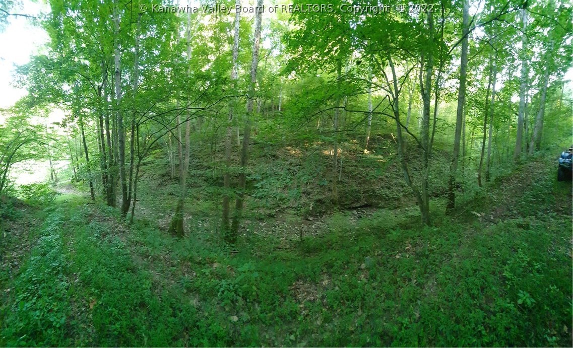 0 Bear Fork Road Gay, WV 25244 - Photo 6 of 23 Gallery Image 6