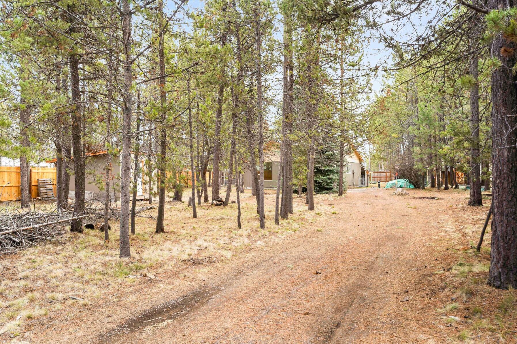 56244 Black Duck Road Bend, OR 97707 - Photo 22 of 24 a view of road with trees