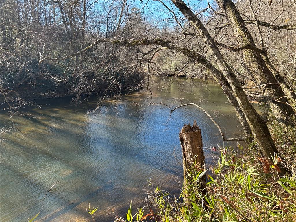 0 Twin River Orchard Road Demorest, GA 30535 - Photo 5 of 63