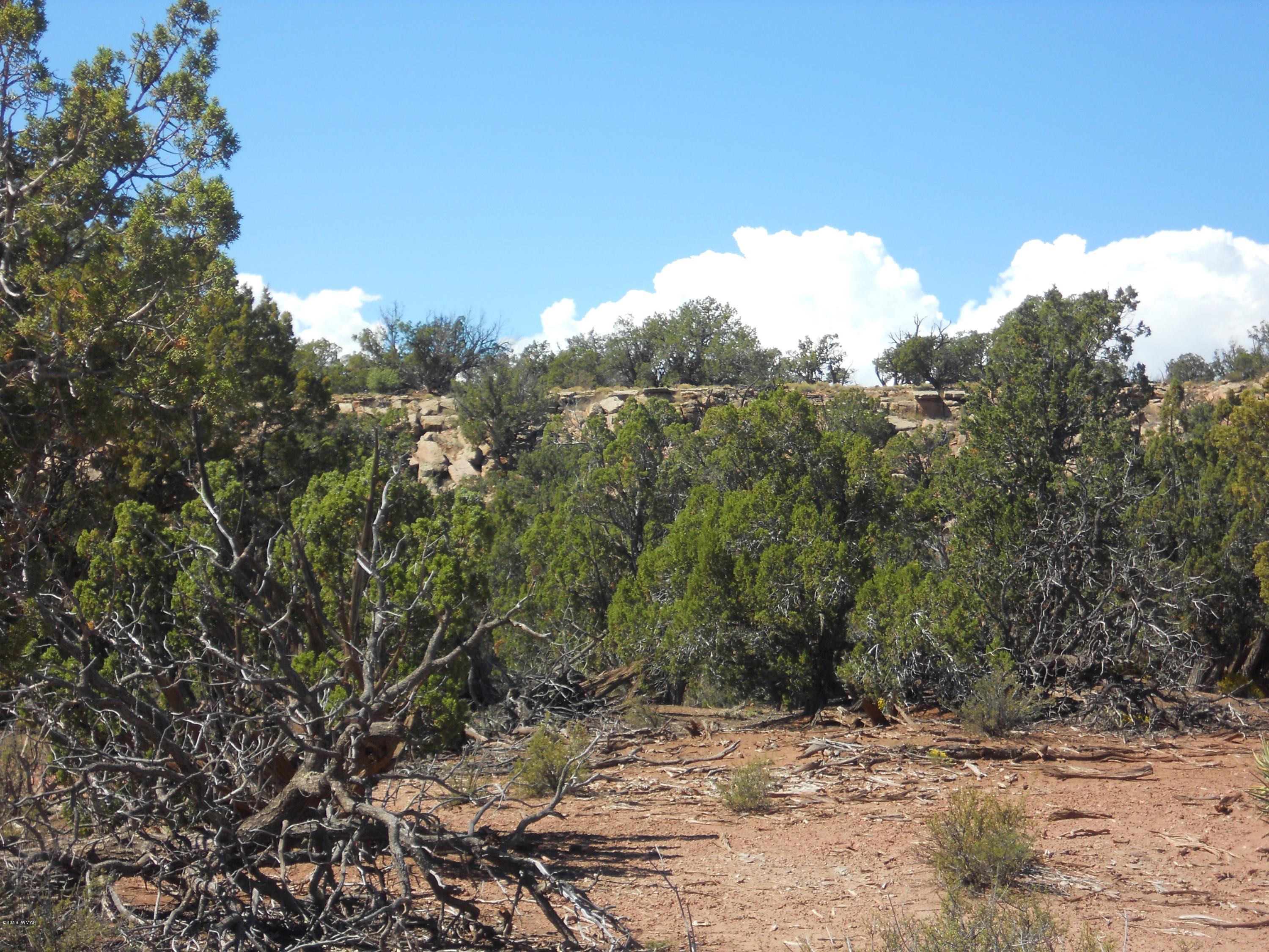 2888 Lone Star Road Snowflake, AZ 85937 - Photo 2 of 14 Gallery Image 2
