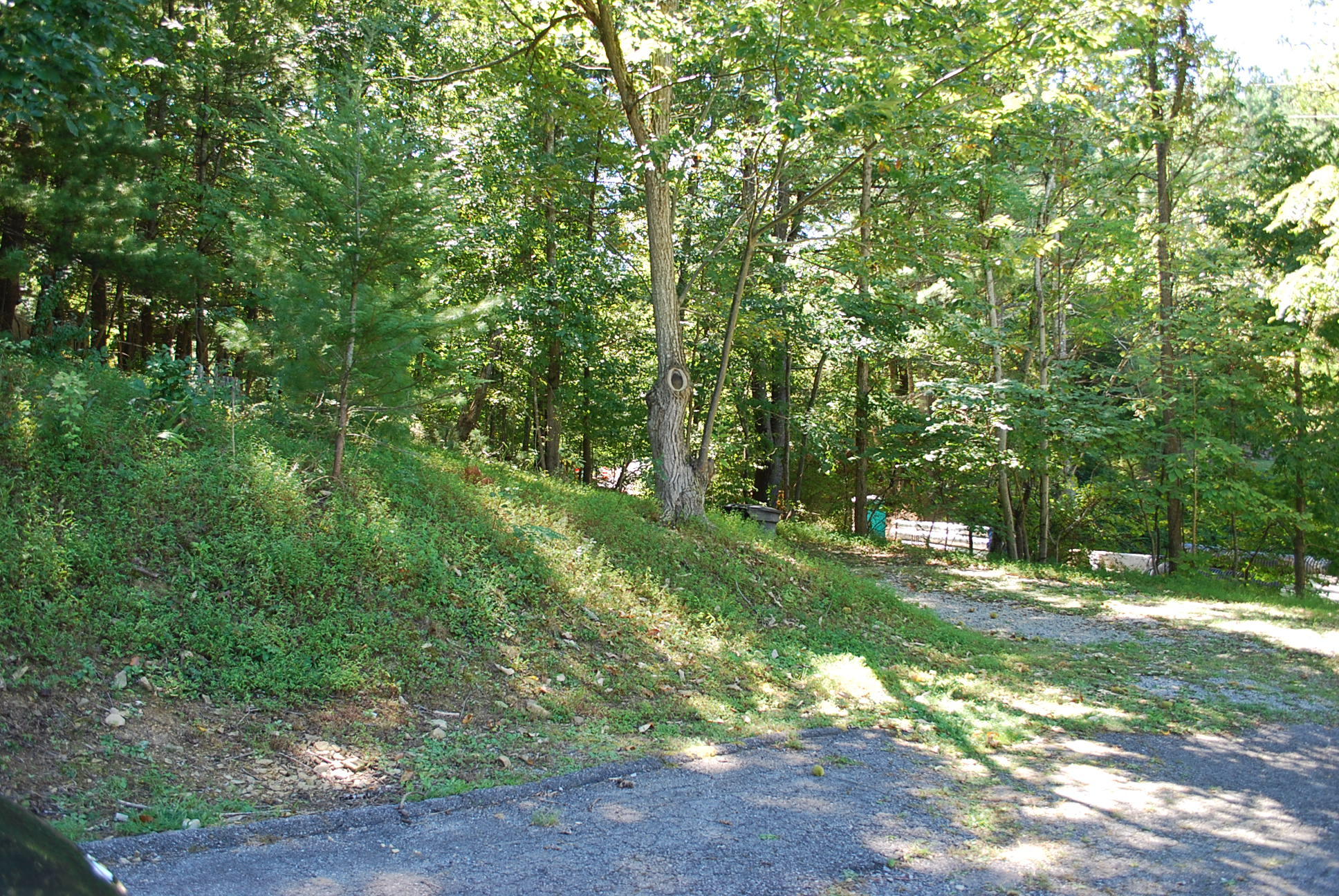 6960 Old Mill Road Roanoke, VA 24018 - Photo 45 of 46 Yard