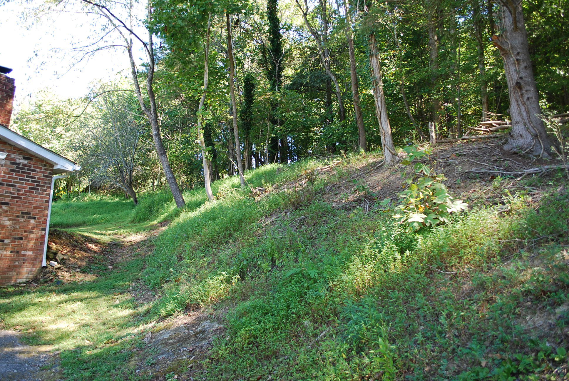6960 Old Mill Road Roanoke, VA 24018 - Photo 46 of 46 Yard