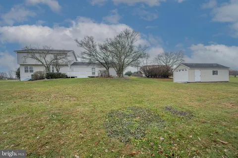 a backyard with tall trees