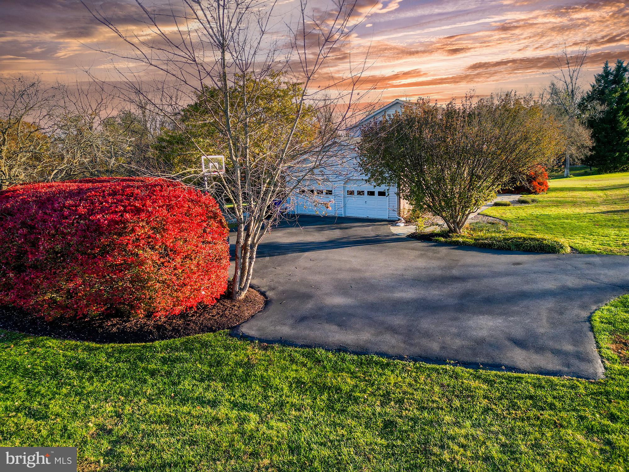 3211 Hayloft Court Woodbine, MD 21797 - Photo 63 of 69 a view of a garden with a tree in the background