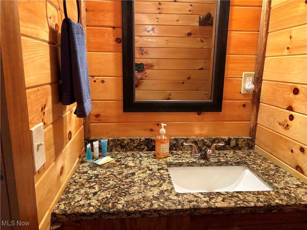 5919 Lake Road West, Unit 7 Ashtabula, OH 44004 - Photo 14 of 29 Bathroom featuring vanity and wooden walls