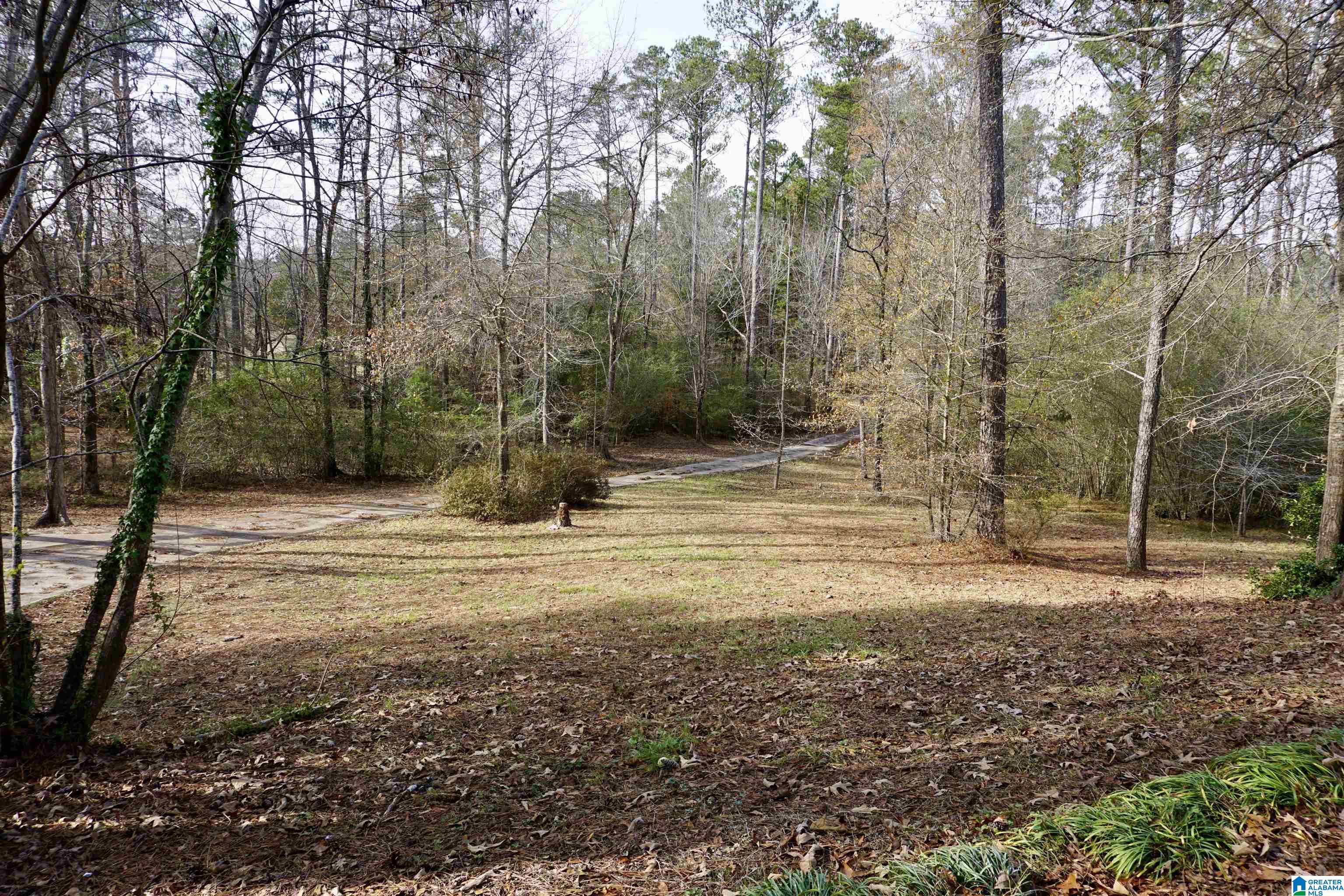 816 Pine Ridge Road Wellington, AL 36279 - Photo 4 of 71
