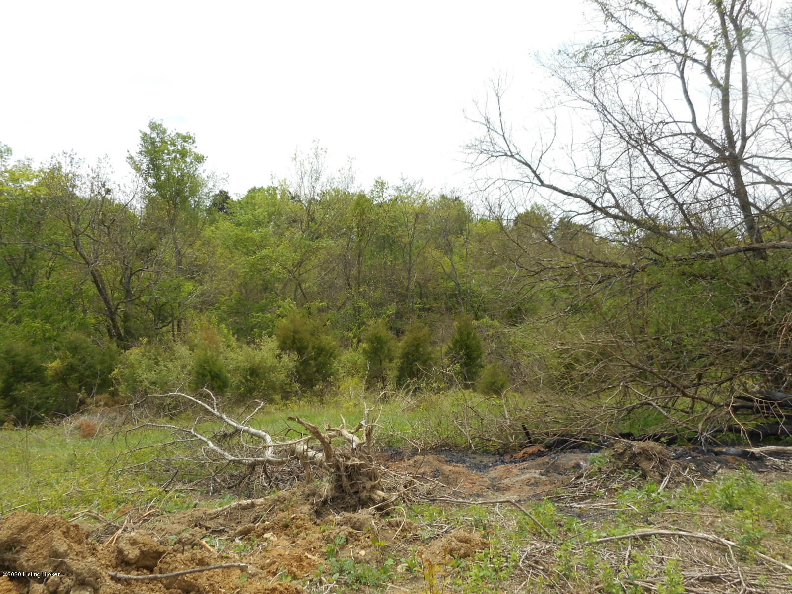 2551 Hardesty Ridge Road Taylorsville, KY 40071 - Photo 6 of 7 DSCN3415