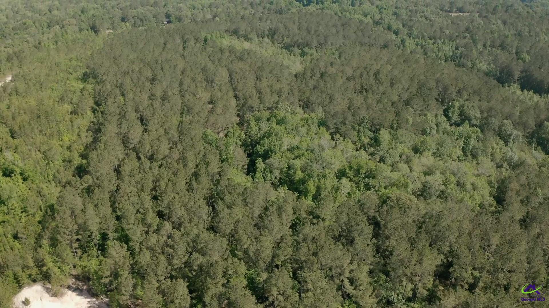 Carl Sutton Road Lizella, GA 31052 - Photo 22 of 23