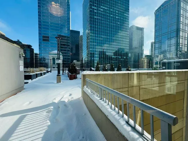 $3,300 | 345 North LaSalle Drive, Unit 306, Chicago, IL 60654