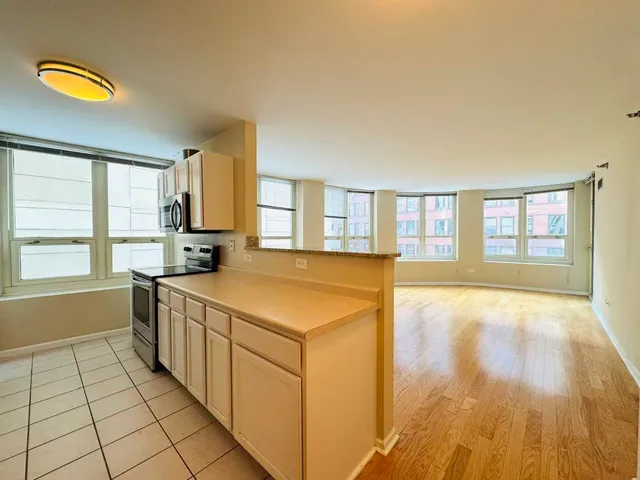 $3,300 | 345 North LaSalle Drive, Unit 306, Chicago, IL 60654