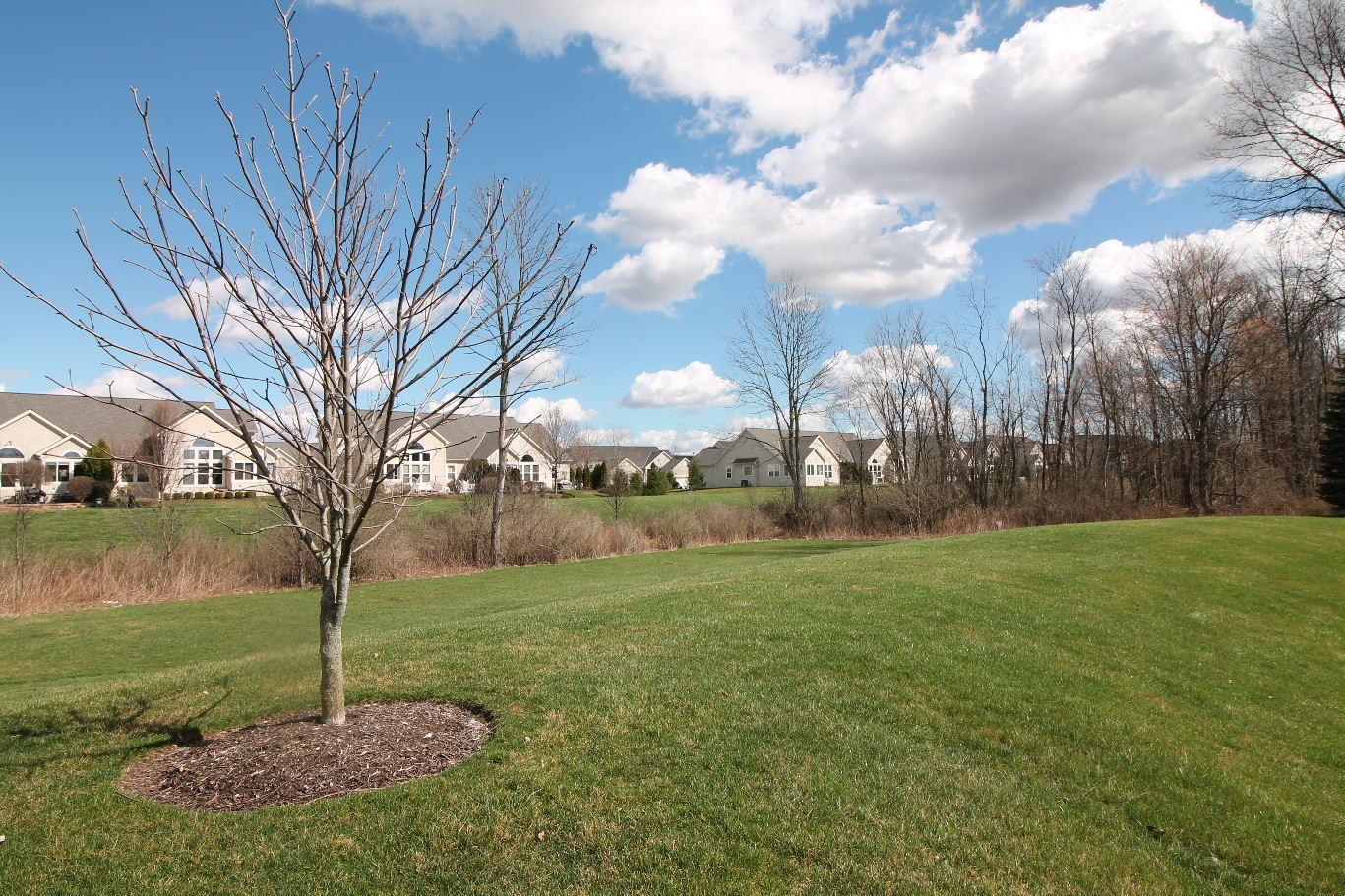 356 Quarter Way Delaware, OH 43015 - Photo 39 of 52