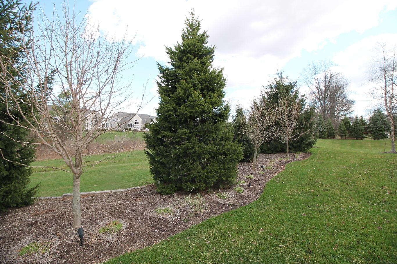 356 Quarter Way Delaware, OH 43015 - Photo 40 of 52