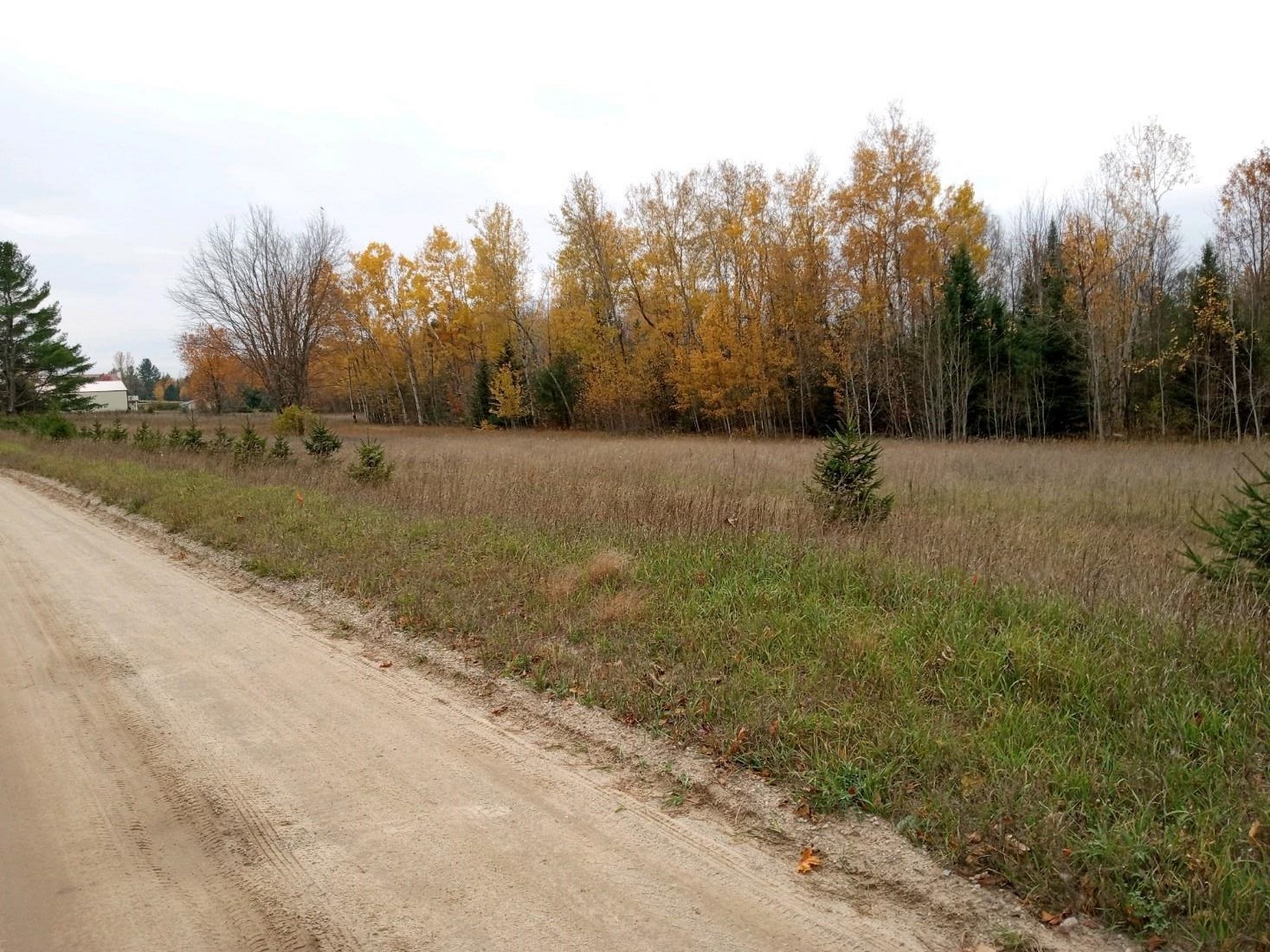 0 Bennett Road, Unit PARCEL B1 Williamsburg, MI 49690 - Photo 3 of 7