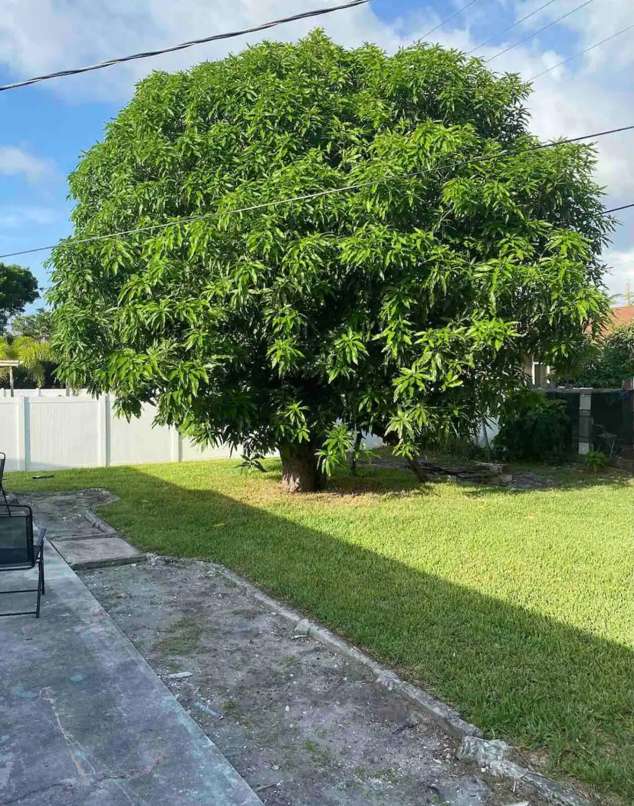 2499 Northeast 2nd Avenue, Unit B Boca Raton, FL 33431 - Photo 11 of 11 IMG_3262