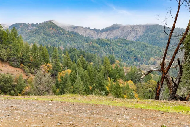 a view of a yard with mountain