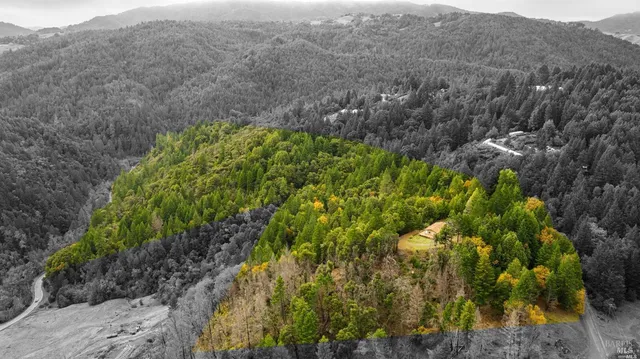 a view of a garden with a house
