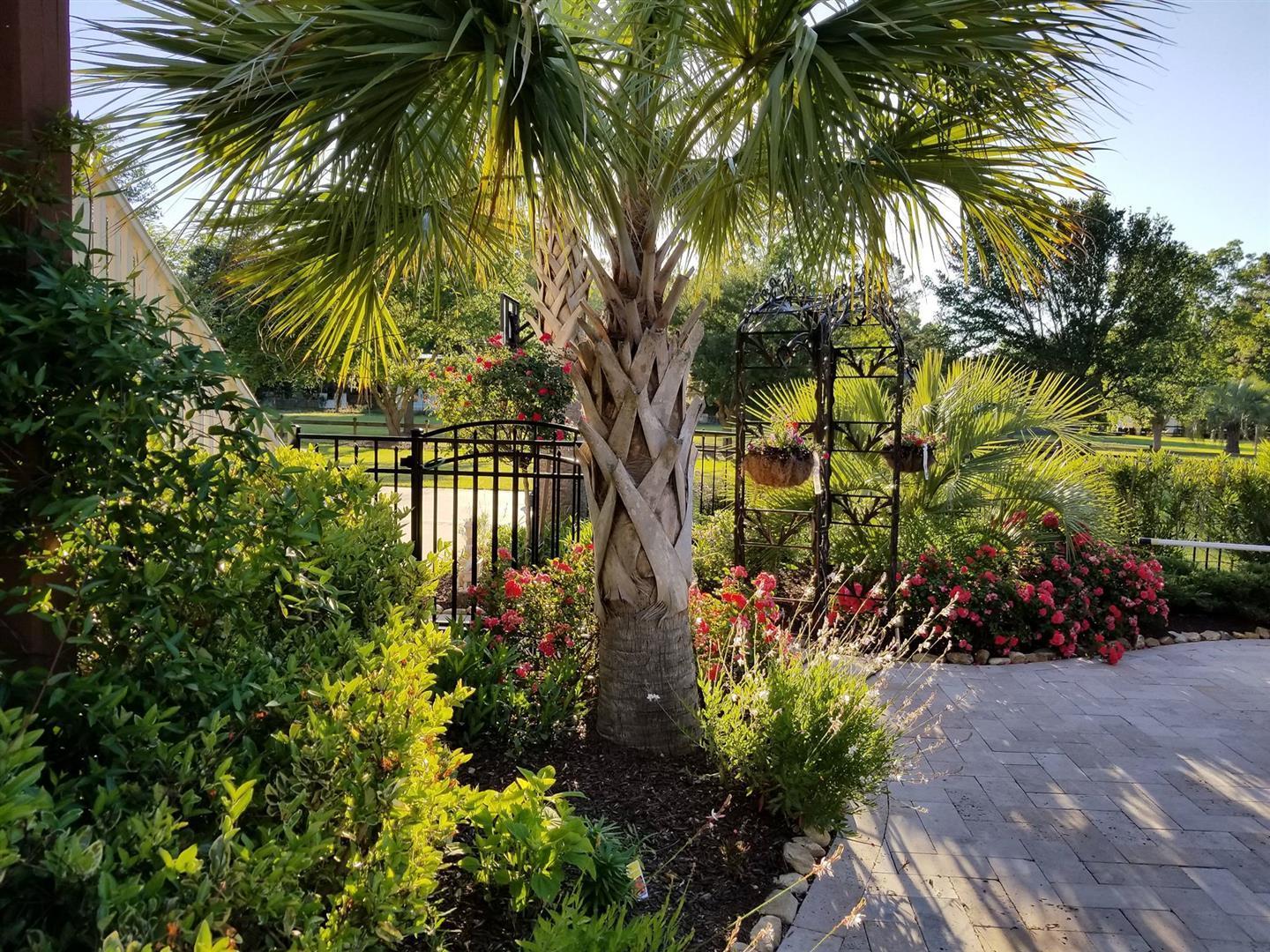 218 Old Parsonage Road Summerville, SC 29483 - Photo 27 of 46 18.4 2018-03-29 18.57.04 Hassan landscap