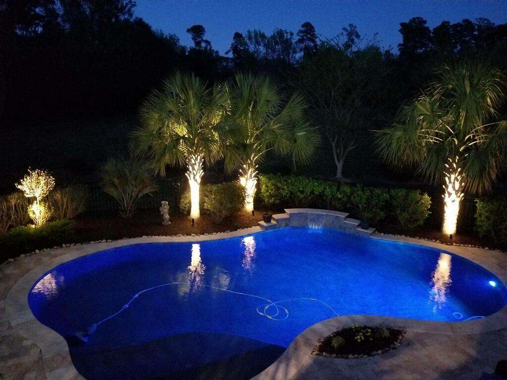 218 Old Parsonage Road Summerville, SC 29483 - Photo 46 of 46 28 IMG_5547 pool with lights