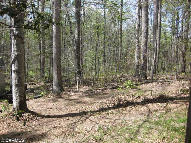12502 Tower Road Doswell, VA 23047 - Photo 12 of 12 Yard/Garden - In another few weeks, this will be all wooded.