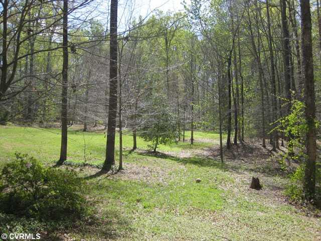12502 Tower Road Doswell, VA 23047 - Photo 9 of 12 Yard/Garden - Gorgeous Private Yard. Not a neighbor in sight!