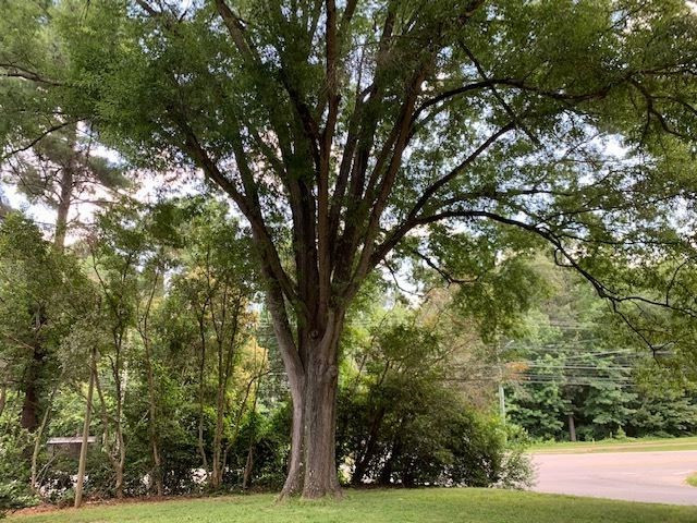 6300 Amhurst Road Durham, NC 27713 - Photo 25 of 28 Photo 25