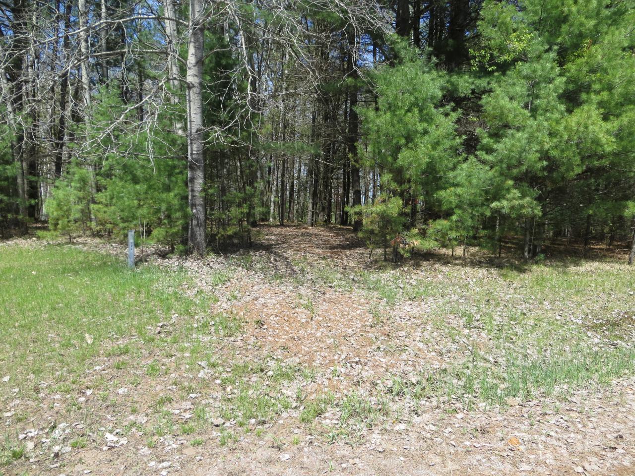 Lot 5 Brandy Lake Road Woodruff, WI 54568 - Photo 4 of 9 Gallery Image 4