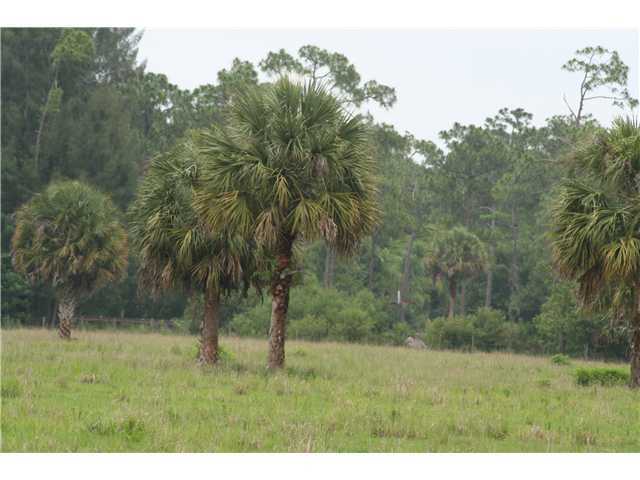 B Road Loxahatchee, FL 33470 - Photo 6 of 10 Additional Photo