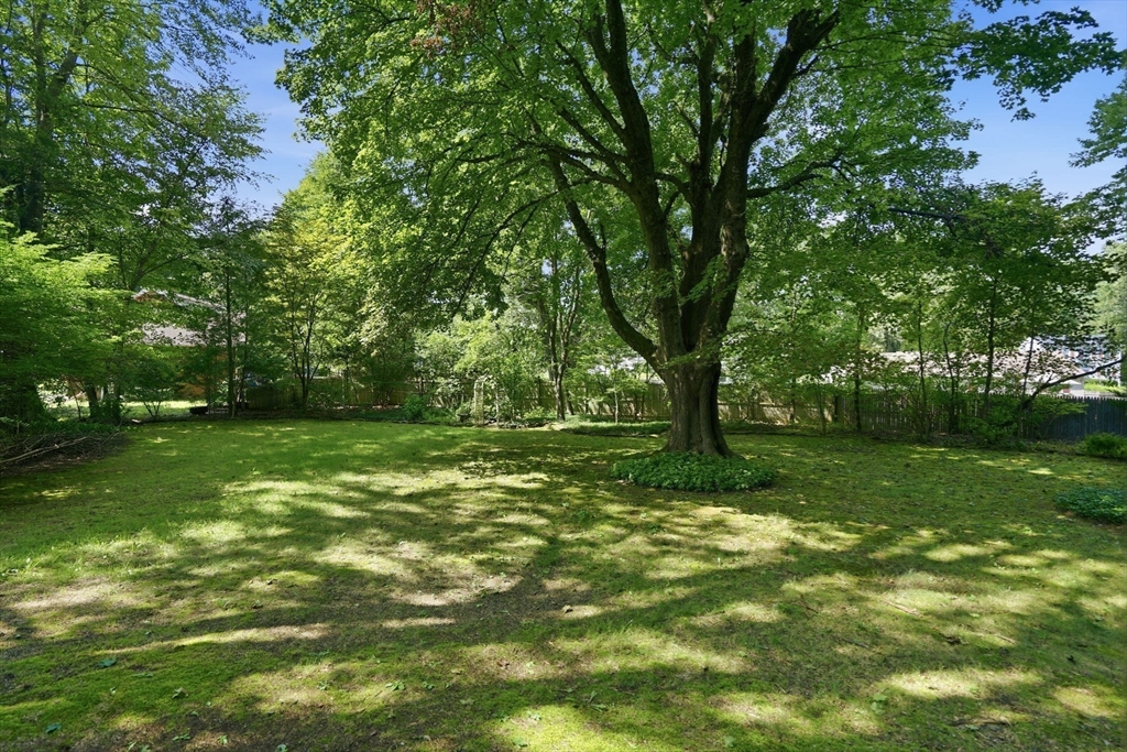 1374 Plumtree Road Springfield, MA 01119 - Photo 2 of 35 Gallery Image 2