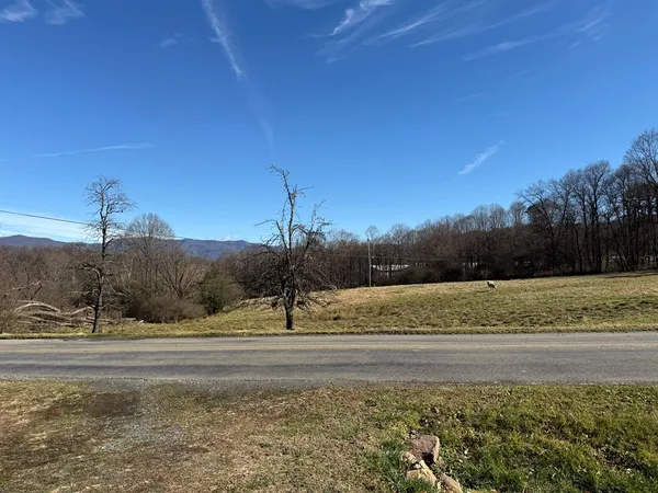 a view of a yard with a mountain