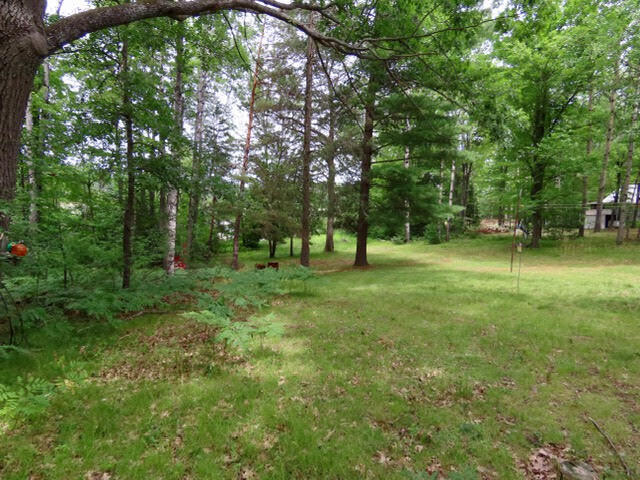 10980 River Road Atlanta, MI 49709 - Photo 33 of 43 Gallery Image 33