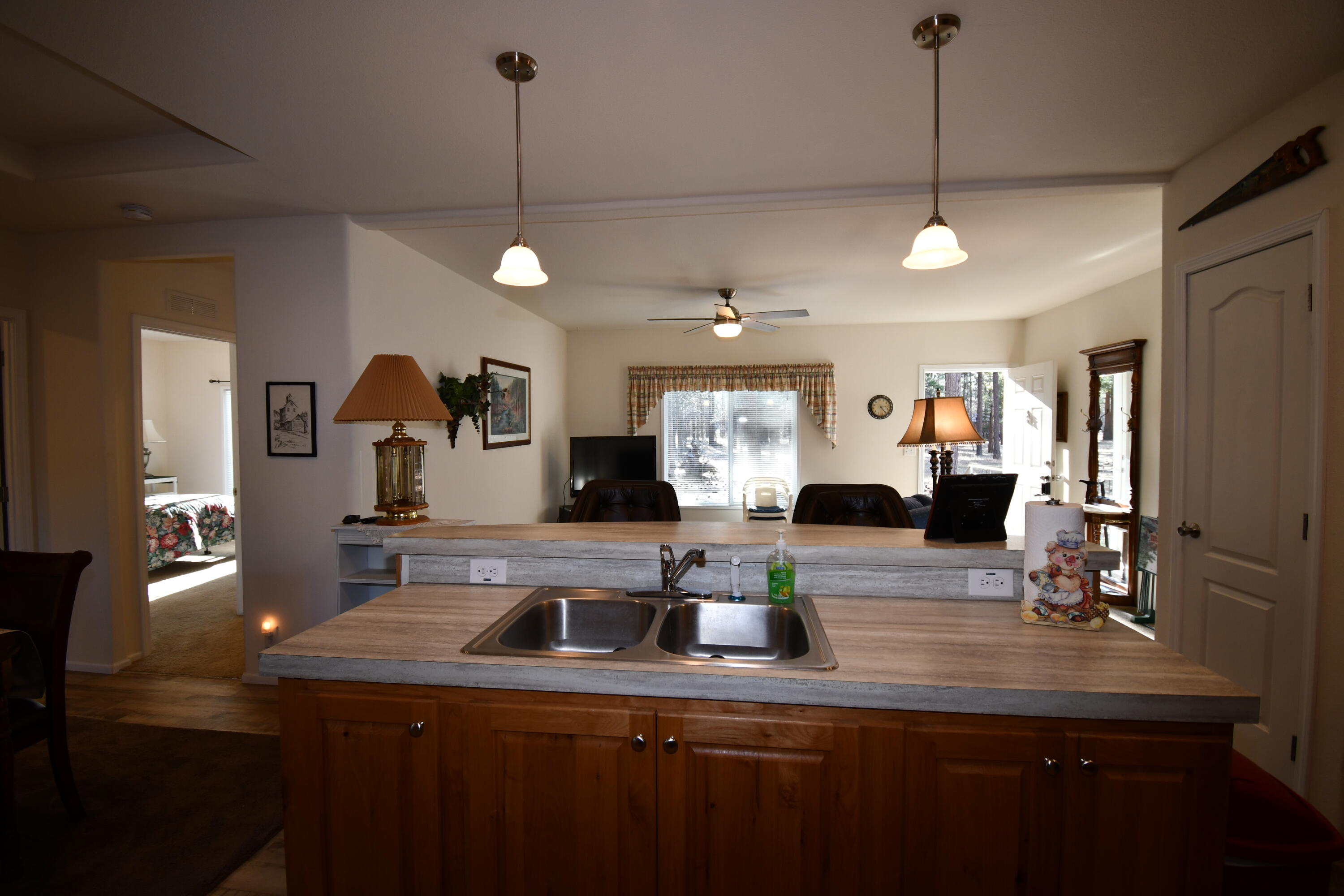 45450 Big Lake Road McArthur, CA 96056 - Photo 11 of 55 DSC_5999