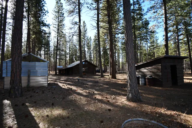 a view of a wooden house with large trees