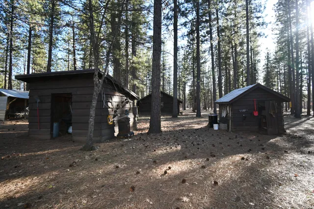 a view of outdoor space with trees