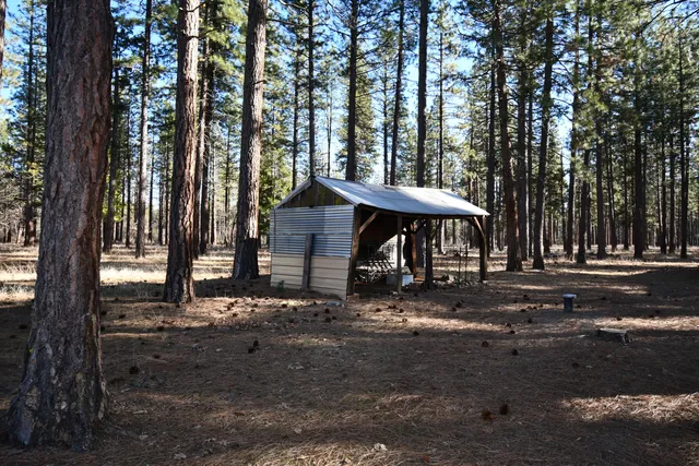 a view of a yard with trees