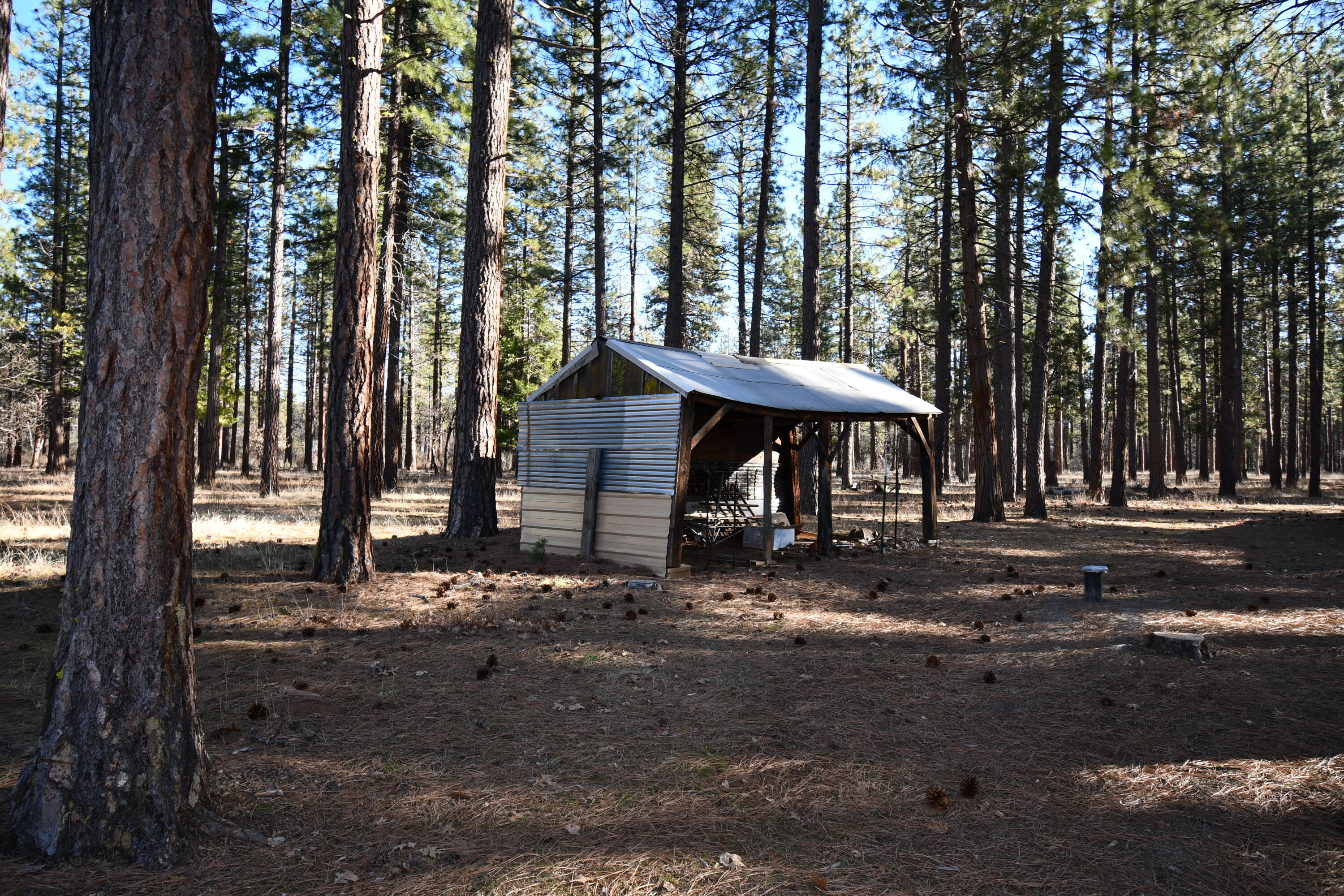 45450 Big Lake Road McArthur, CA 96056 - Photo 43 of 55 DSC_6033
