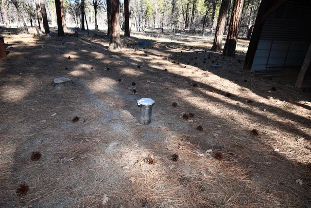 a view of outdoor space with trees