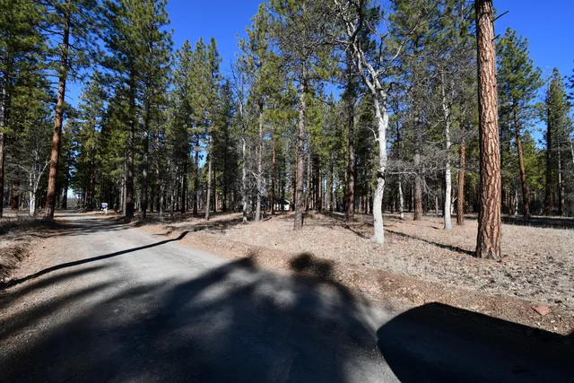 a view of road with trees