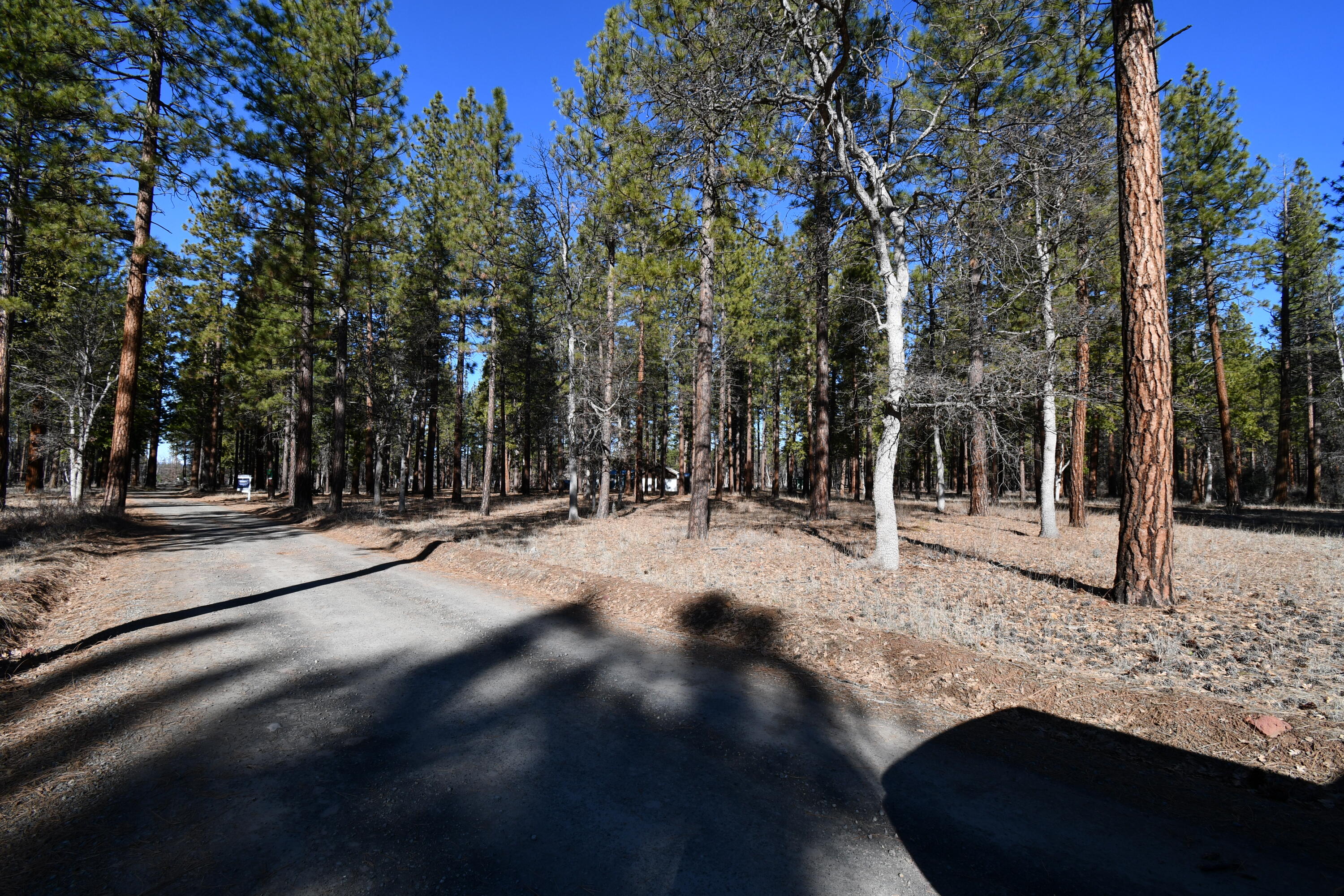 45450 Big Lake Road McArthur, CA 96056 - Photo 50 of 55 DSC_5961