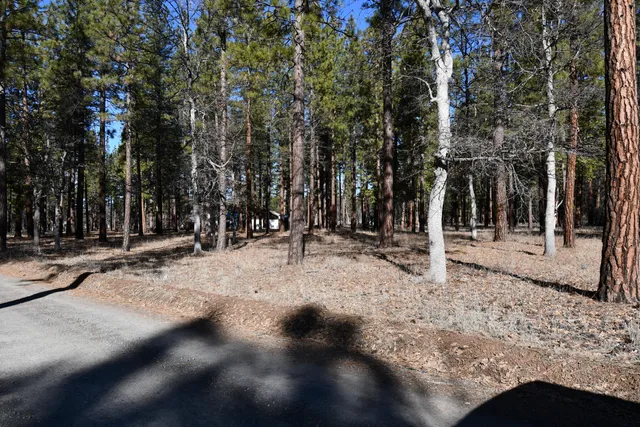 $266,500 | 45450 Big Lake Road, McArthur, CA 96056