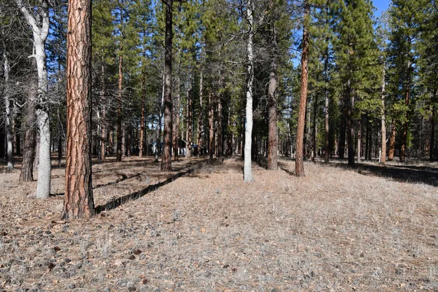 $266,500 | 45450 Big Lake Road, McArthur, CA 96056