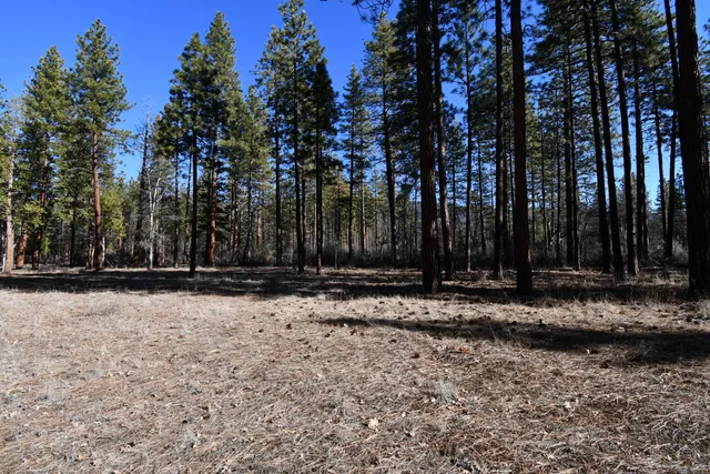 $266,500 | 45450 Big Lake Road, McArthur, CA 96056